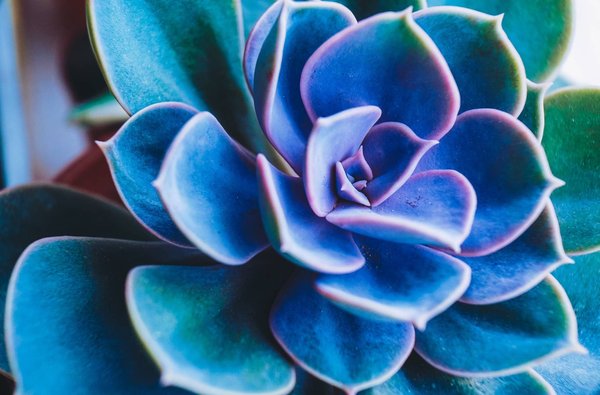 How to Choose the Right Type of Pearls for a Sophisticated Work Jewelry?