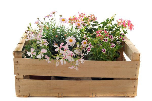 Round raised planter: for style and efficiency